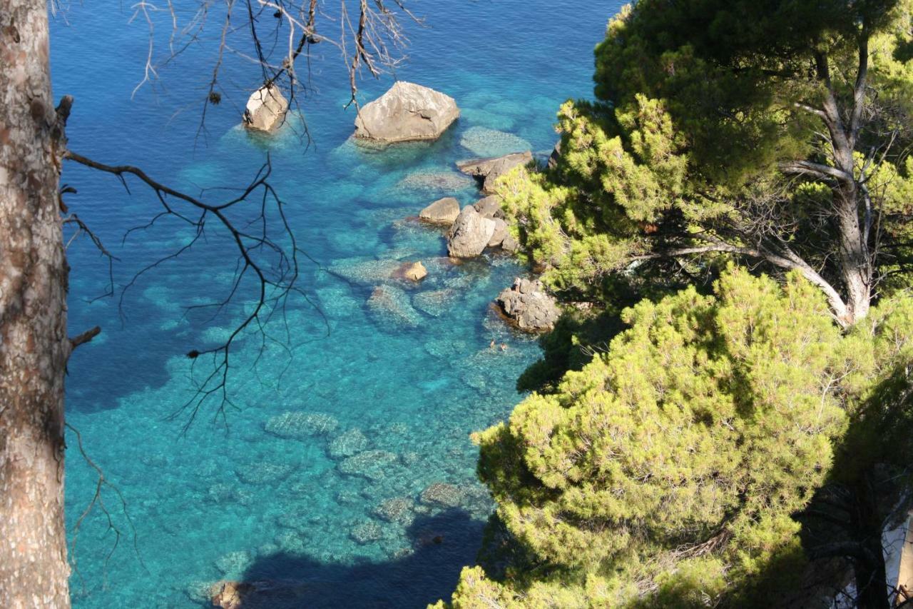 Son Riera Petit Paradis Banyalbufar Luaran gambar