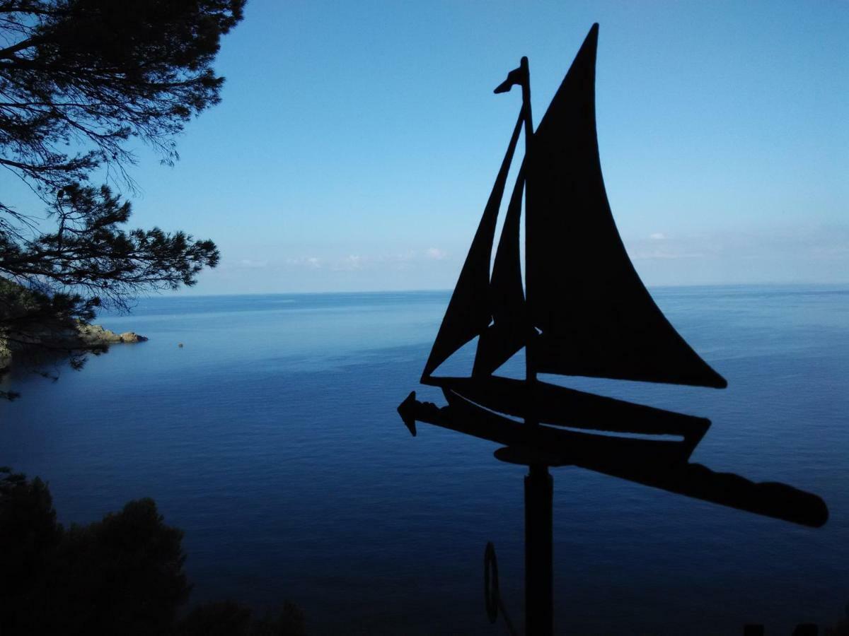Son Riera Petit Paradis Banyalbufar Luaran gambar